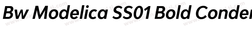 Bw Modelica SS01 Bold Condensed字体转换